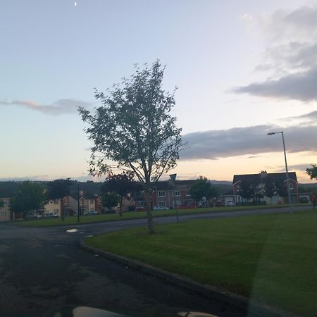 Sycamore Place Carrick-on-Suir Luaran gambar